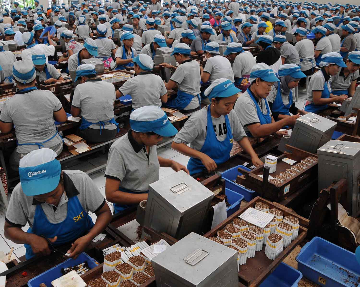 Tren Produksi Rajungan Ekspor di Indonesia dan Faktor yang Mempengaruhinya