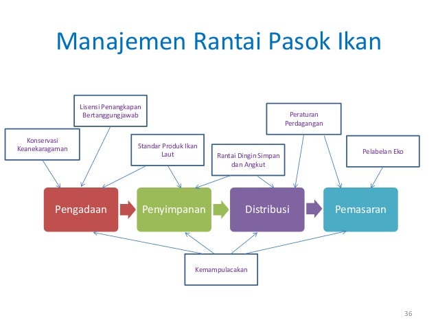 Pengertian dan Peran Pusat Logistik Ikan Nasional dalam Industri Perikanan